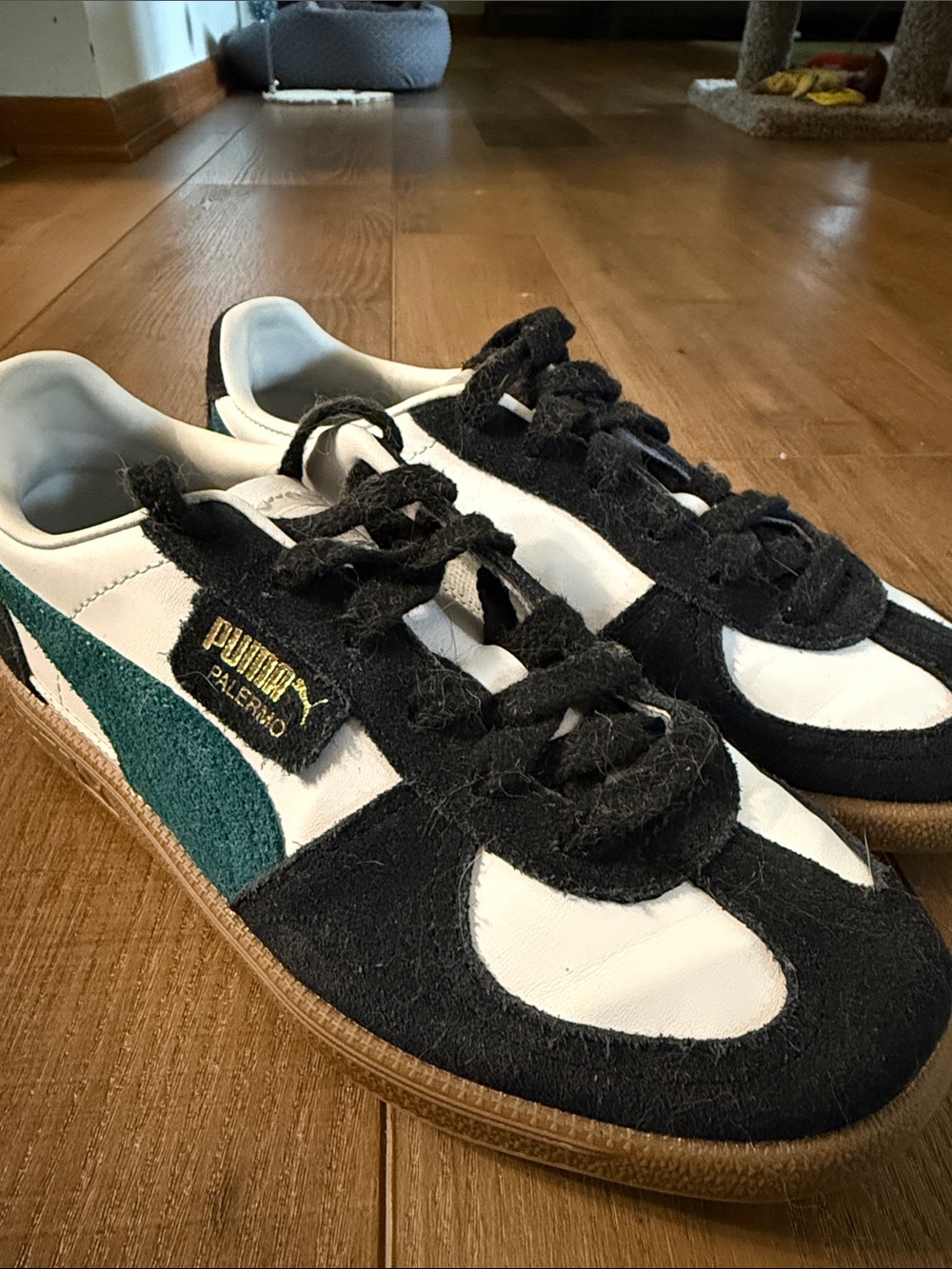 Puma Kids Palermo Sneakers Black White Green Suede